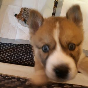 Meet your Posher, Kristie